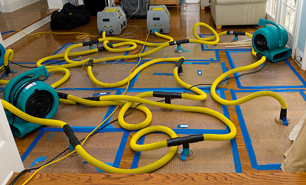 Professional Basement Flood Cleanup technician working in Brookline, NH
